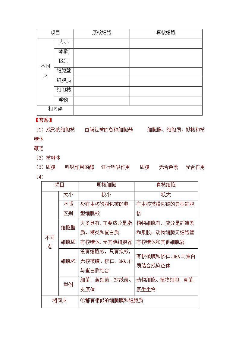 人教版生物必修第一册1.2《细胞的多样性和统一性》（导学案）03