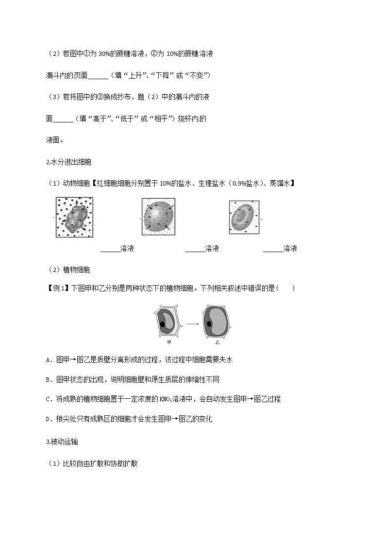 人教版生物必修一学案：第4章第1节《被动运输》(含答案)03