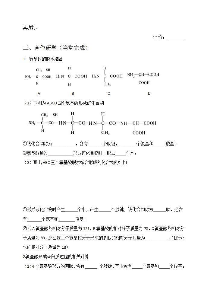 人教版生物必修一学案：第2章第4节蛋白质是生命活动的主要承担者2第2页