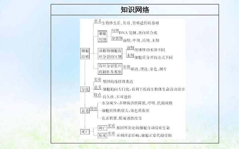 2022届新教材高考生物一轮复习专题五细胞的生命历程课件第3页