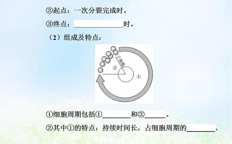 2022届新教材高考生物一轮复习专题五细胞的生命历程课件第6页