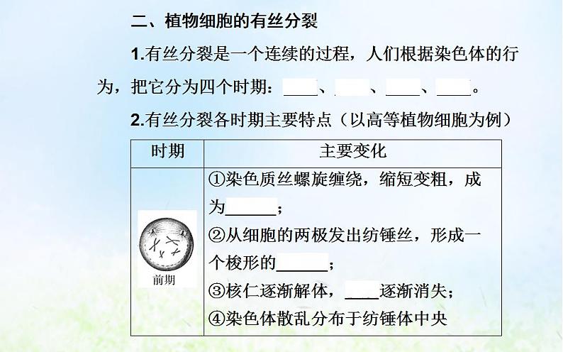 2022届新教材高考生物一轮复习专题五细胞的生命历程课件第8页