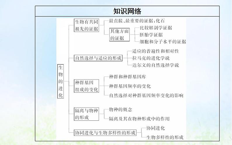 2022届新教材高考生物一轮复习专题十一生物的进化课件第3页