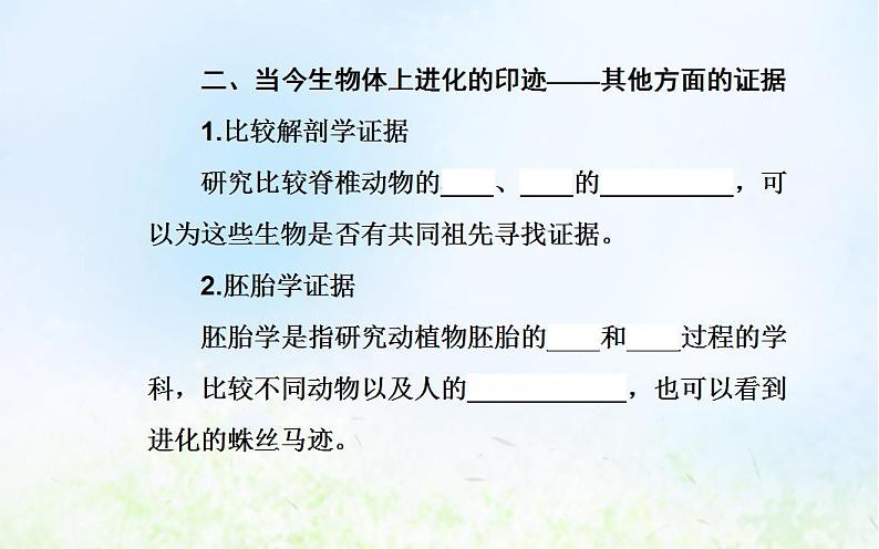 2022届新教材高考生物一轮复习专题十一生物的进化课件第7页