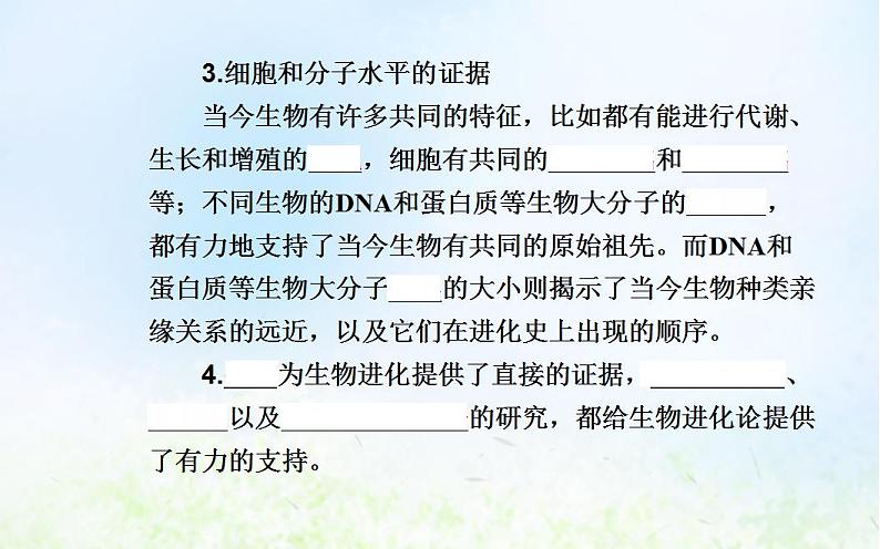 2022届新教材高考生物一轮复习专题十一生物的进化课件第8页