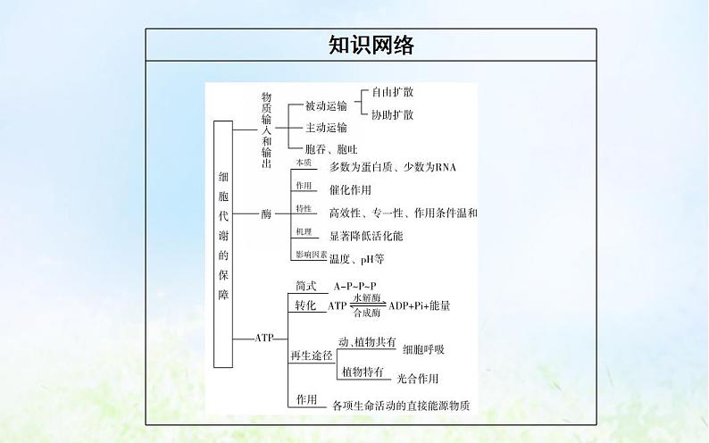 2022届新教材高考生物一轮复习专题三细胞代谢的保障课件第3页