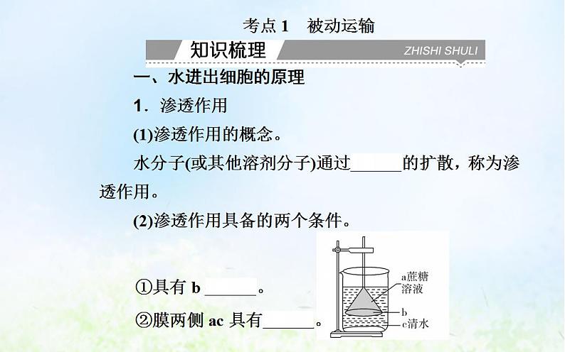 2022届新教材高考生物一轮复习专题三细胞代谢的保障课件第4页