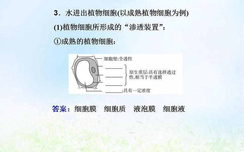 2022届新教材高考生物一轮复习专题三细胞代谢的保障课件第6页