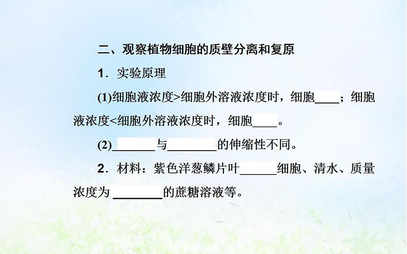 2022届新教材高考生物一轮复习专题三细胞代谢的保障课件第8页