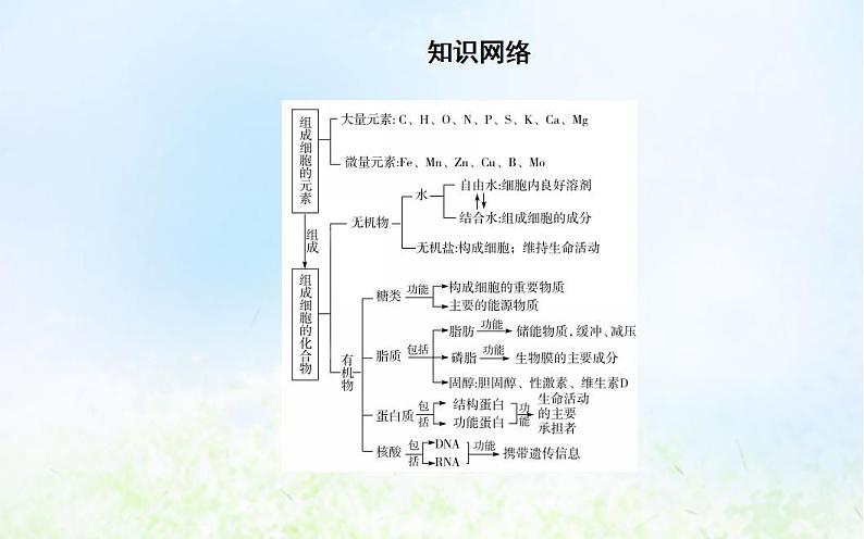 2022届新教材高考生物一轮复习专题一细胞的分子组成课件第5页