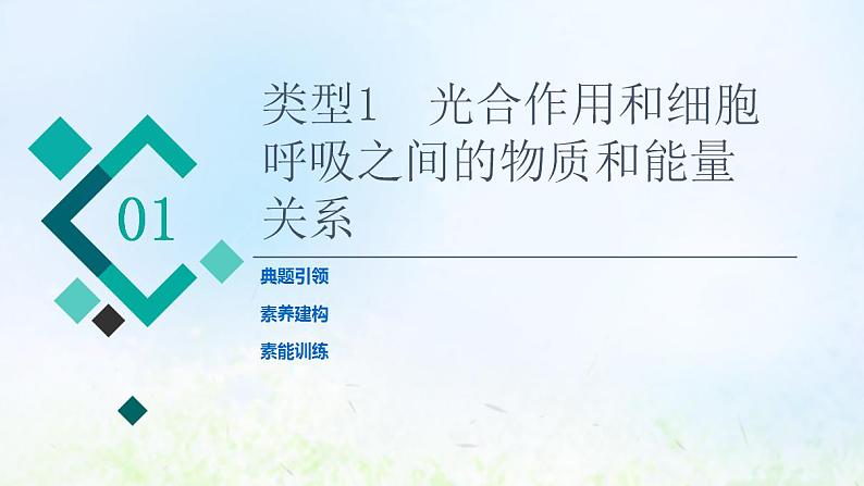 2022版新教材高考生物一轮复习第3单元细胞的能量供应和利用高频考点进阶课2光合作用和细胞呼吸的综合应用课件新人教版02