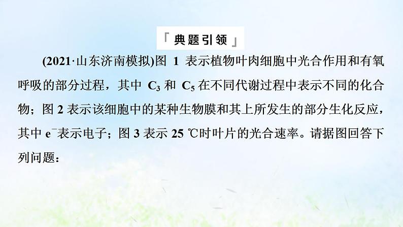 2022版新教材高考生物一轮复习第3单元细胞的能量供应和利用高频考点进阶课2光合作用和细胞呼吸的综合应用课件新人教版03