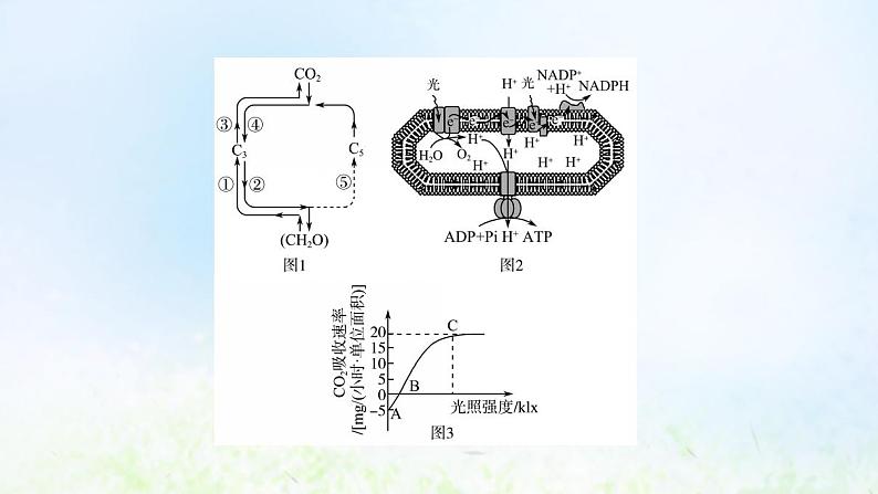 2022版新教材高考生物一轮复习第3单元细胞的能量供应和利用高频考点进阶课2光合作用和细胞呼吸的综合应用课件新人教版04