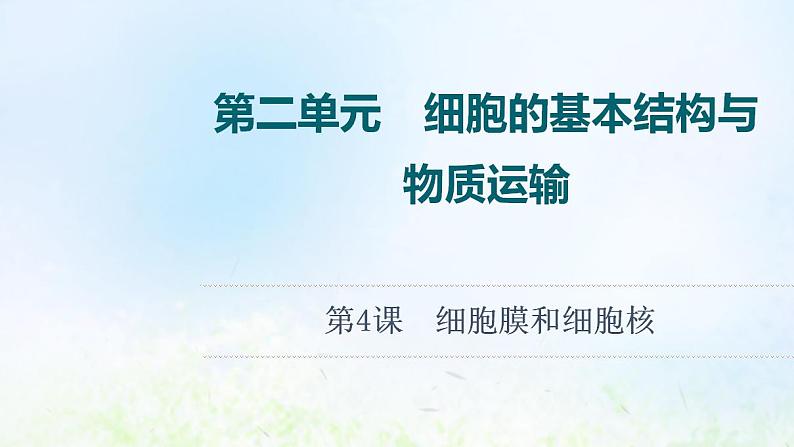 2022版新教材高考生物一轮复习第2单元细胞的基本结构与物质运输第4课细胞膜和细胞核课件新人教版第1页