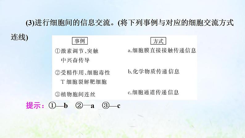 2022版新教材高考生物一轮复习第2单元细胞的基本结构与物质运输第4课细胞膜和细胞核课件新人教版第6页