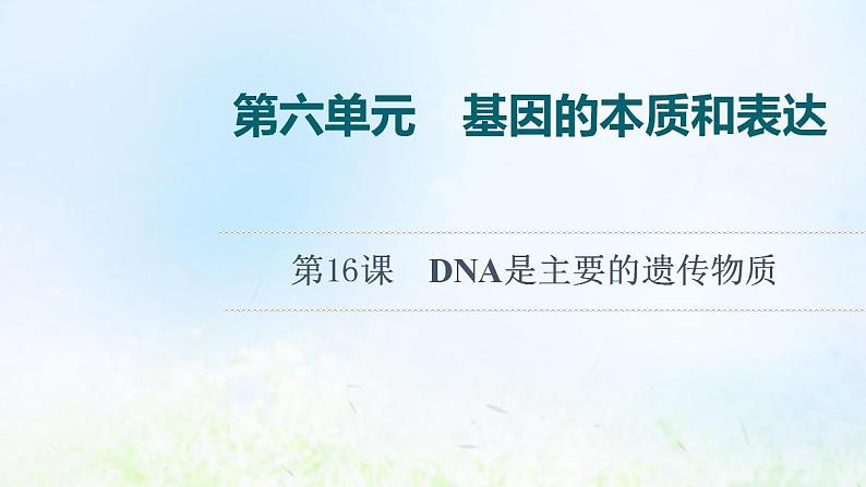 2022版新教材高考生物一轮复习第6单元基因的本质和表达第16课DNA是主要的遗传物质课件新人教版第1页