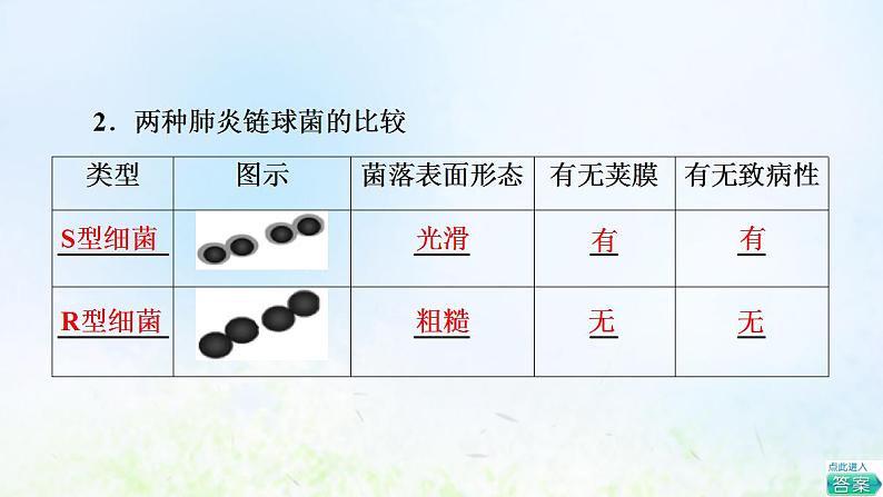 2022版新教材高考生物一轮复习第6单元基因的本质和表达第16课DNA是主要的遗传物质课件新人教版第5页
