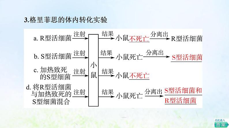 2022版新教材高考生物一轮复习第6单元基因的本质和表达第16课DNA是主要的遗传物质课件新人教版第6页