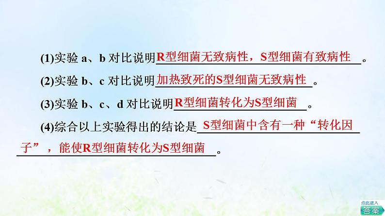 2022版新教材高考生物一轮复习第6单元基因的本质和表达第16课DNA是主要的遗传物质课件新人教版第7页
