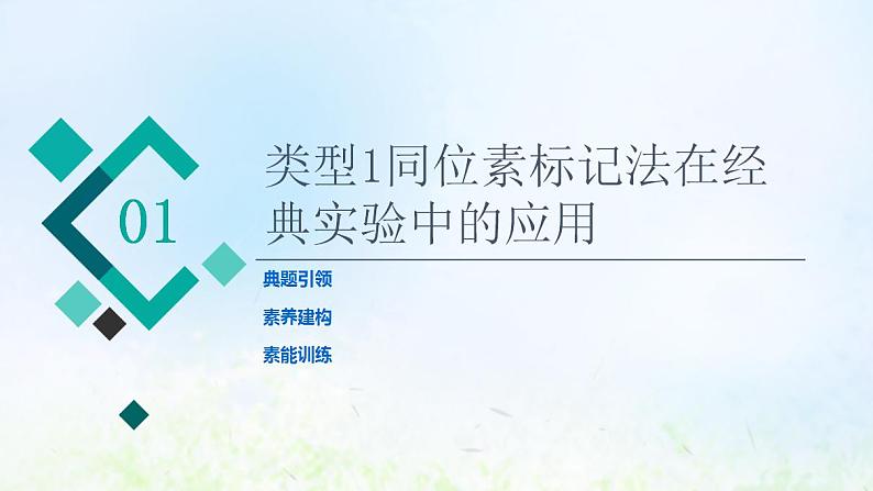 2022版新教材高考生物一轮复习第6单元基因的本质和表达高频考点进阶课4同位素标记法在生物实验中的应用课件新人教版02