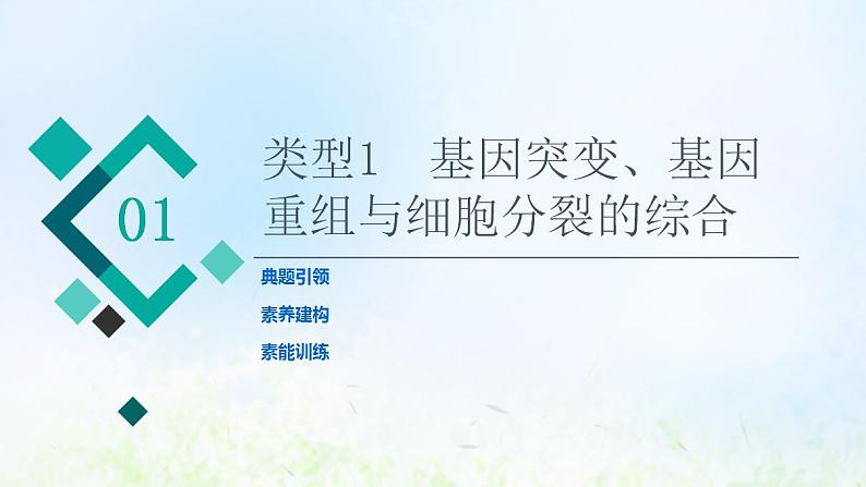 2022版新教材高考生物一轮复习第7单元生物的变异育种与进化高频考点进阶课5变异与细胞分裂和遗传定律的综合课件新人教版第2页