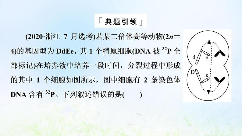 2022版新教材高考生物一轮复习第7单元生物的变异育种与进化高频考点进阶课5变异与细胞分裂和遗传定律的综合课件新人教版第3页