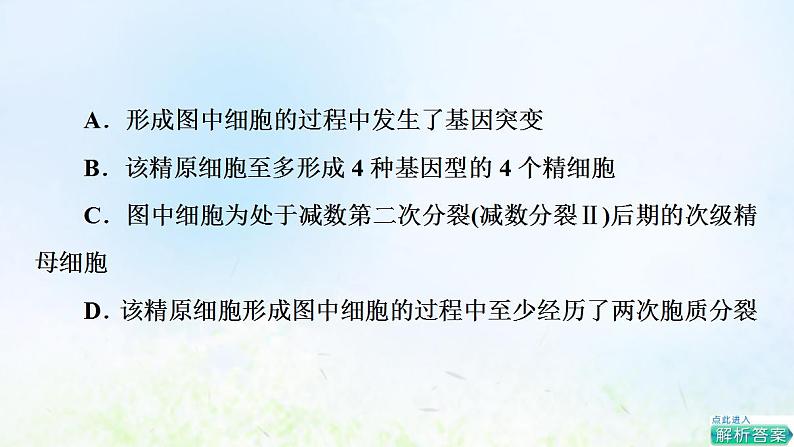 2022版新教材高考生物一轮复习第7单元生物的变异育种与进化高频考点进阶课5变异与细胞分裂和遗传定律的综合课件新人教版第4页