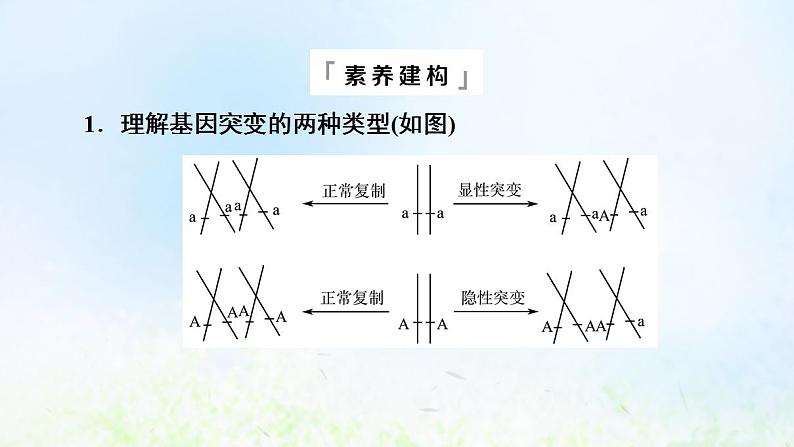 2022版新教材高考生物一轮复习第7单元生物的变异育种与进化高频考点进阶课5变异与细胞分裂和遗传定律的综合课件新人教版第6页