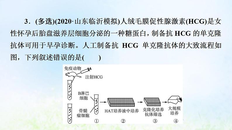 2022版新教材高考生物一轮复习第10单元生物技术与工程大概念升华课选择性必修概念4课件新人教版08