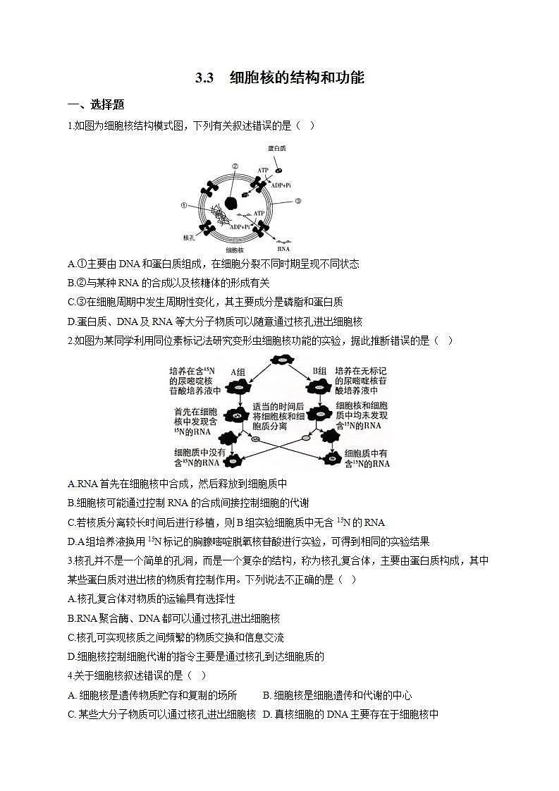 人教版同步教学必修1：3.3 细胞核的结构和功能  作业 练习01