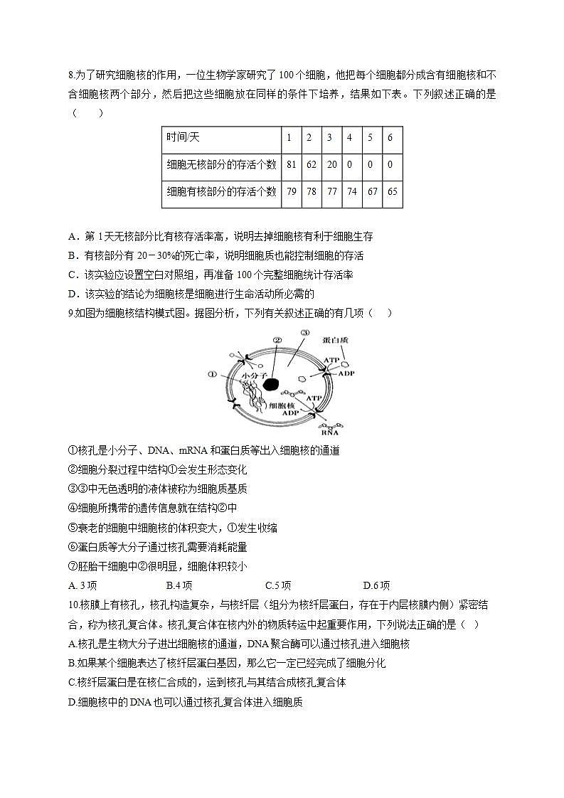 人教版同步教学必修1：3.3 细胞核的结构和功能  作业 练习03