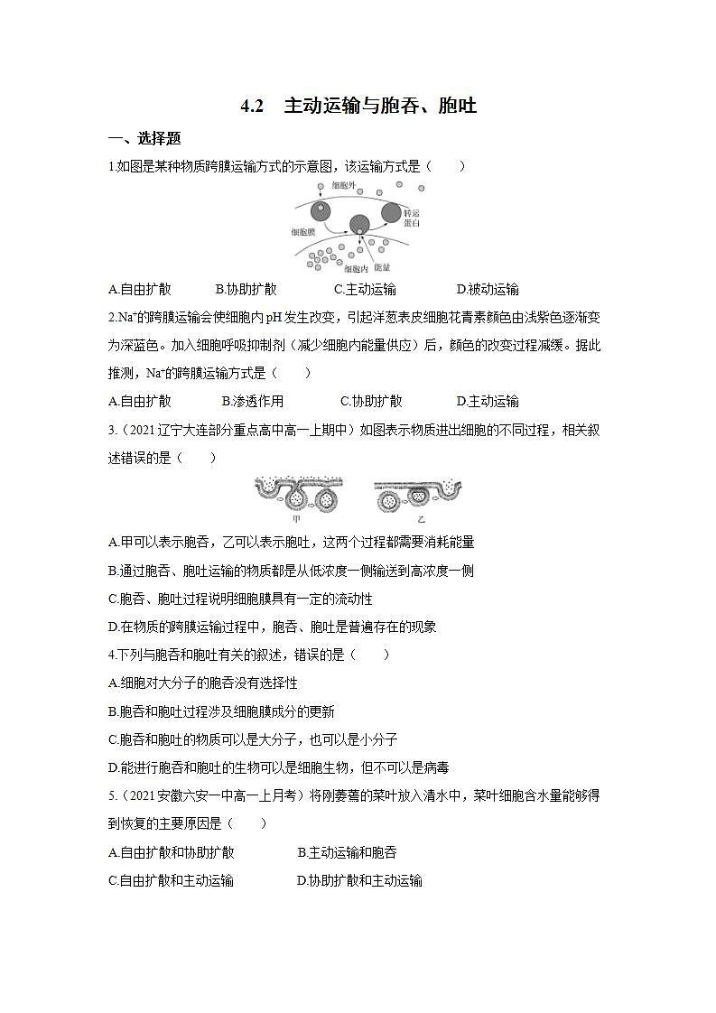 人教版同步教学必修1：4.2　主动运输与胞吞、胞吐  作业第1页