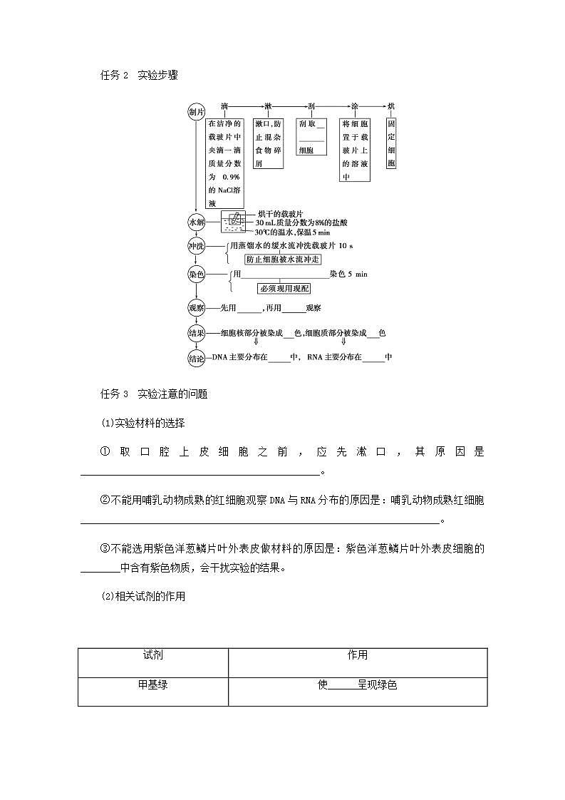 高考生物一轮复习高考必考教材实验三__观察DNA和RNA在细胞中的分布探究案含解析新人教版学案第2页
