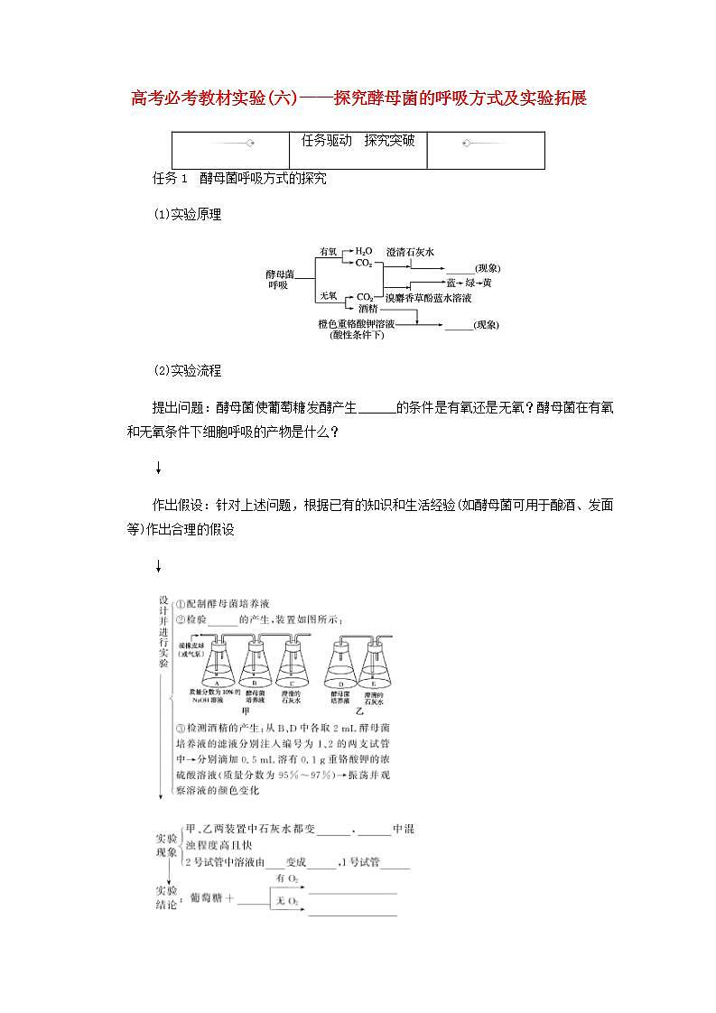 高考生物一轮复习高考必考教材实验六__探究酵母菌的呼吸方式及实验拓展探究案含解析新人教版学案第1页