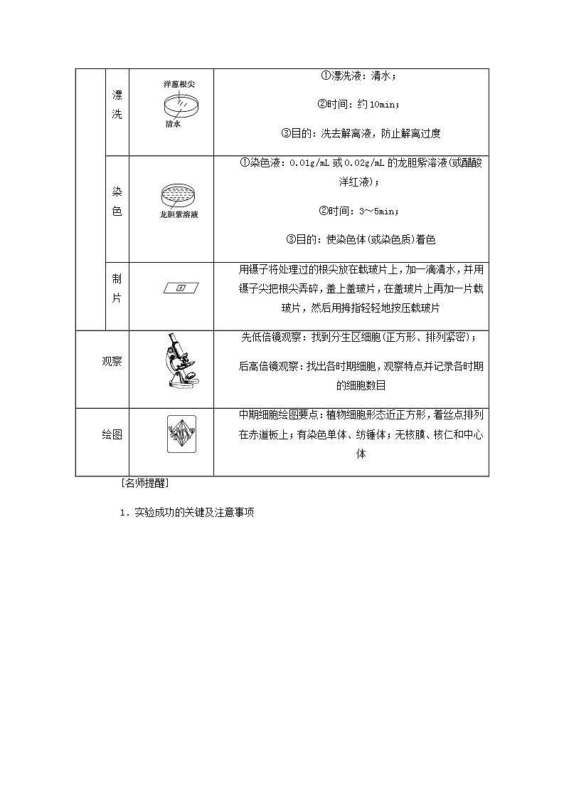 高考生物一轮复习高考必考教材实验八__观察根尖分生组织细胞的有丝分裂探究案含解析新人教版学案02