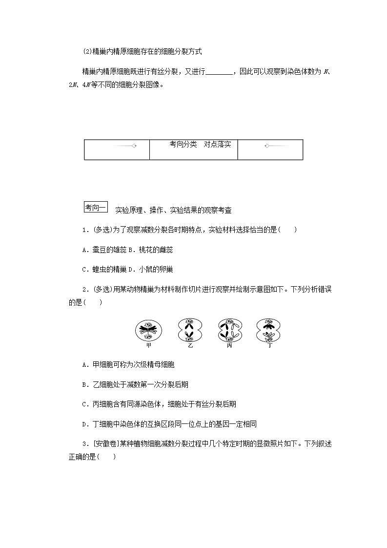 高考生物一轮复习高考必考教材实验九__观察细胞减数分裂探究案含解析新人教版学案第2页