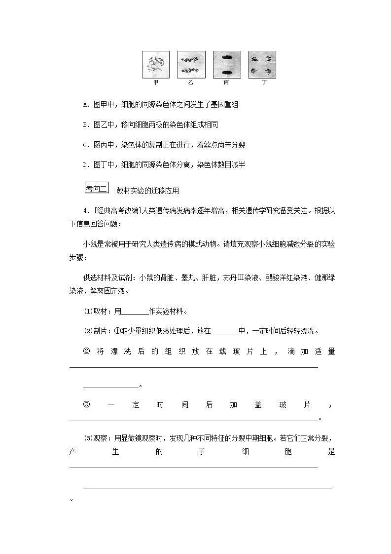 高考生物一轮复习高考必考教材实验九__观察细胞减数分裂探究案含解析新人教版学案第3页