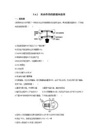 人教版 (2019)必修1《分子与细胞》二 光合作用的原理和应用练习