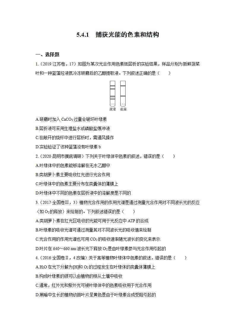 人教版同步教学必修1：5.4.1 捕获光能的色素和结构  作业 练习01