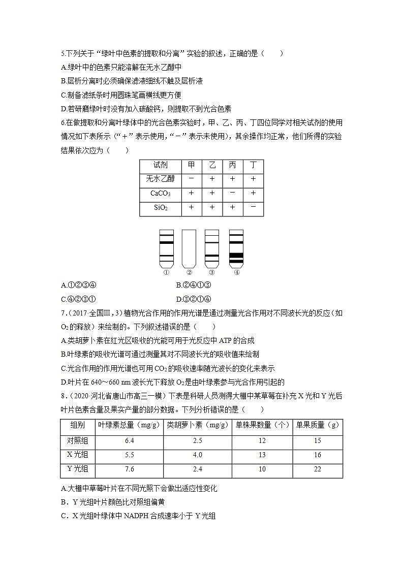 人教版同步教学必修1：5.4.1 捕获光能的色素和结构  作业 练习02