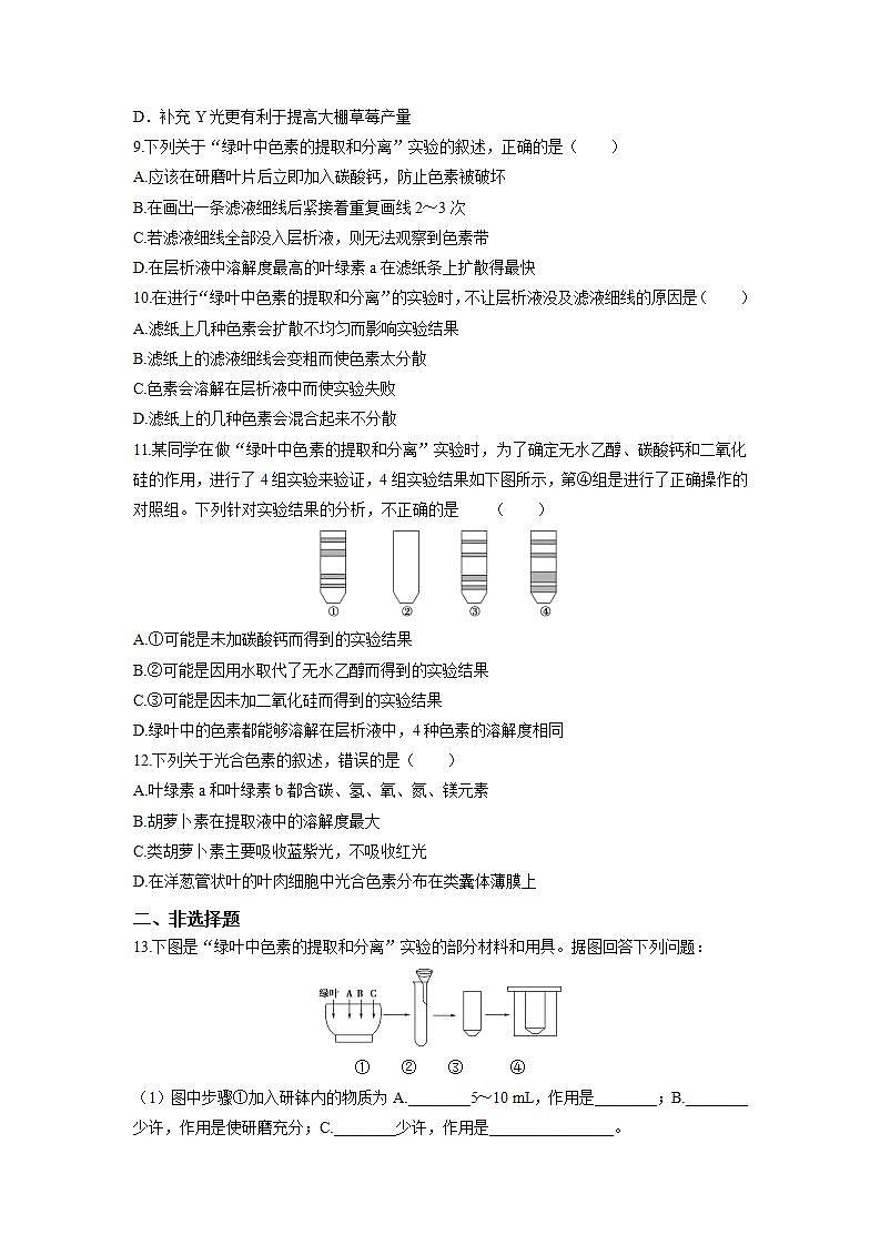 人教版同步教学必修1：5.4.1 捕获光能的色素和结构  作业 练习03