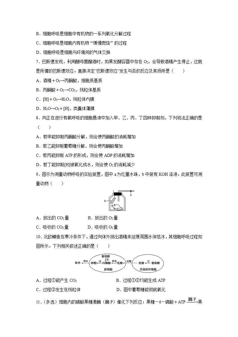 人教版同步教学必修1：5.3  细胞呼吸的原理和应用  作业第2页