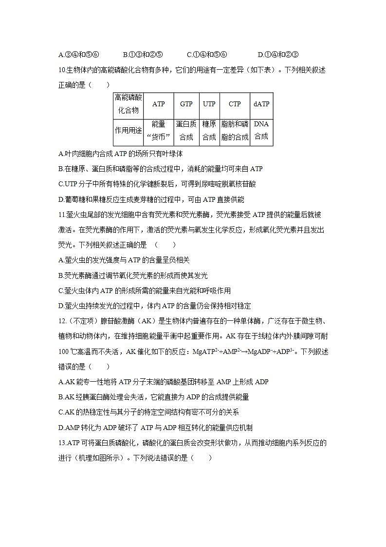 人教版同步教学必修1：5.2　细胞的能量“货币”ATP  作业 练习03