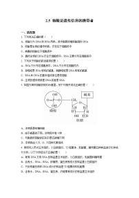 2021学年第5节 核酸是遗传信息的携带者随堂练习题