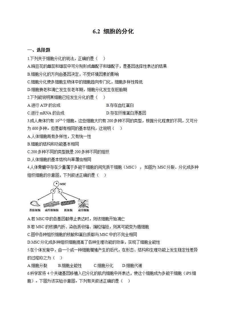 人教版同步教学必修1：6.2 细胞的分化  作业 练习01