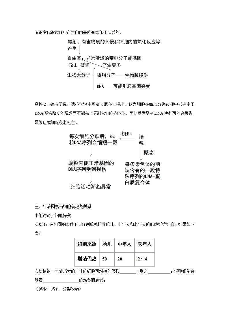 人教版同步教学必修1：6.3   细胞的衰老和凋亡  教案03