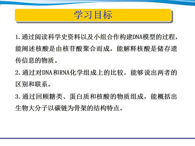 人教版（2019）高中生物必修1  核酸是遗传信息的携带者课件PPT第2页
