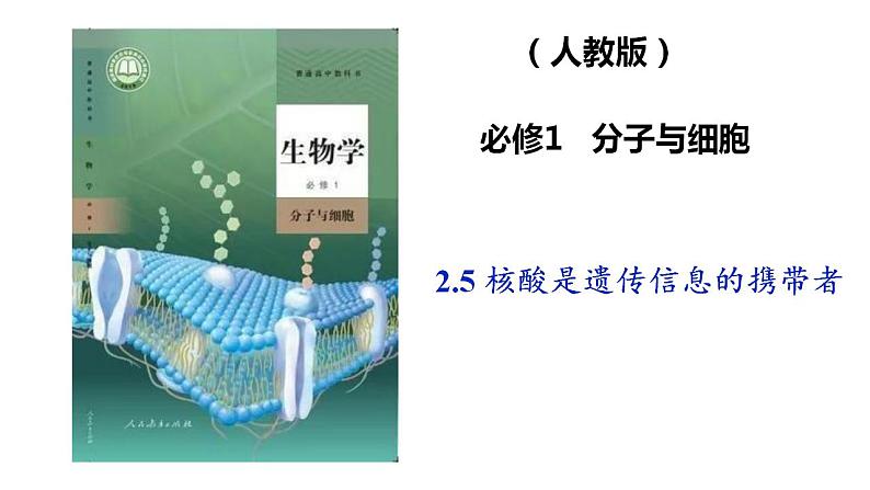 高中生物人教版必修一2.5 核酸是遗传信息的携带者课件01