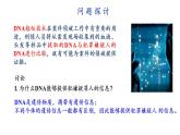 高中生物人教版必修一2.5 核酸是遗传信息的携带者课件