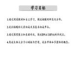 高中生物人教版必修一2.5 核酸是遗传信息的携带者课件